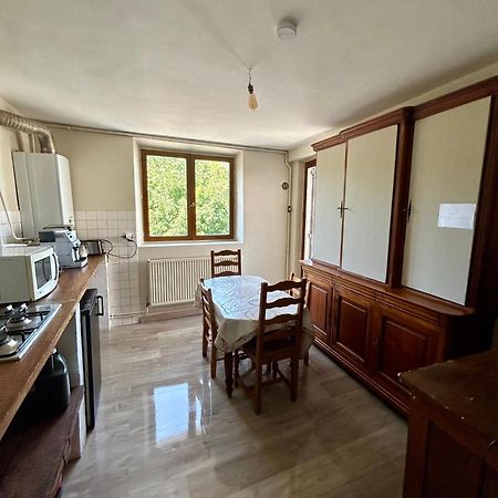 100Metres Du Chateau Au 116 Rue De La Republique Vizille Dış mekan fotoğraf